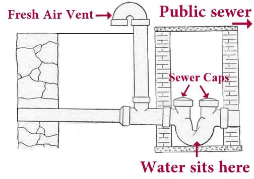 House-Sewer_trap_label