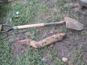 Actual root from inside pipe