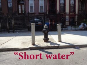 short_water_labeled