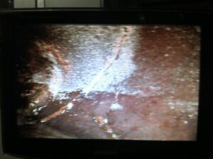 Camera reveals cracks in clay sewer pipe