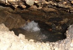 The active leak