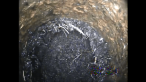 Approaching roots inside sewer