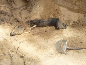 Roots removed from sewer pipe