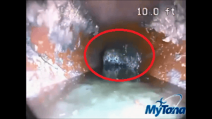 Inside the Sewer Line