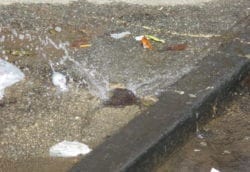 Curb Valve Leak