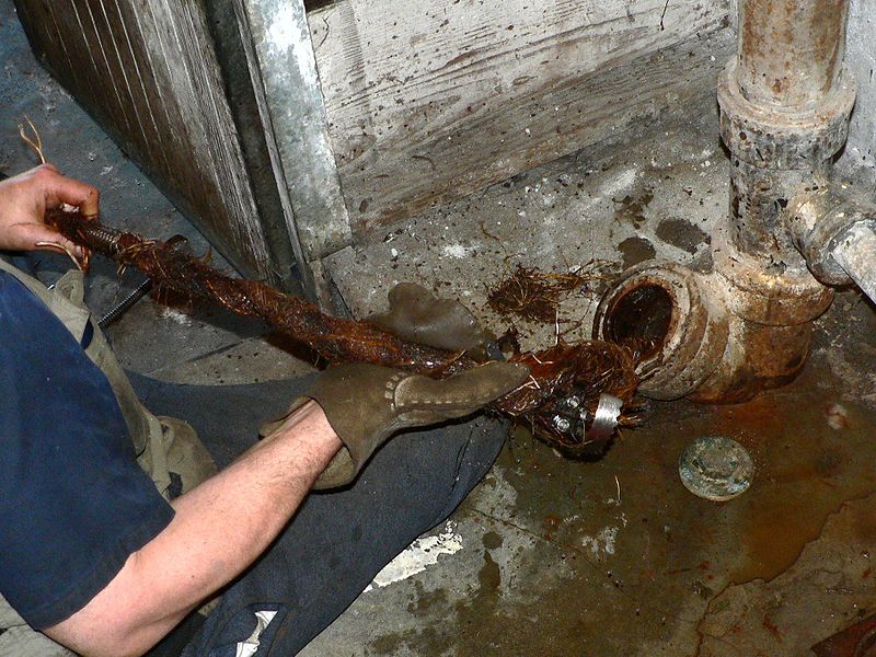 Roots removed from sewer