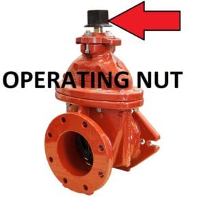 Curb valve operating nut