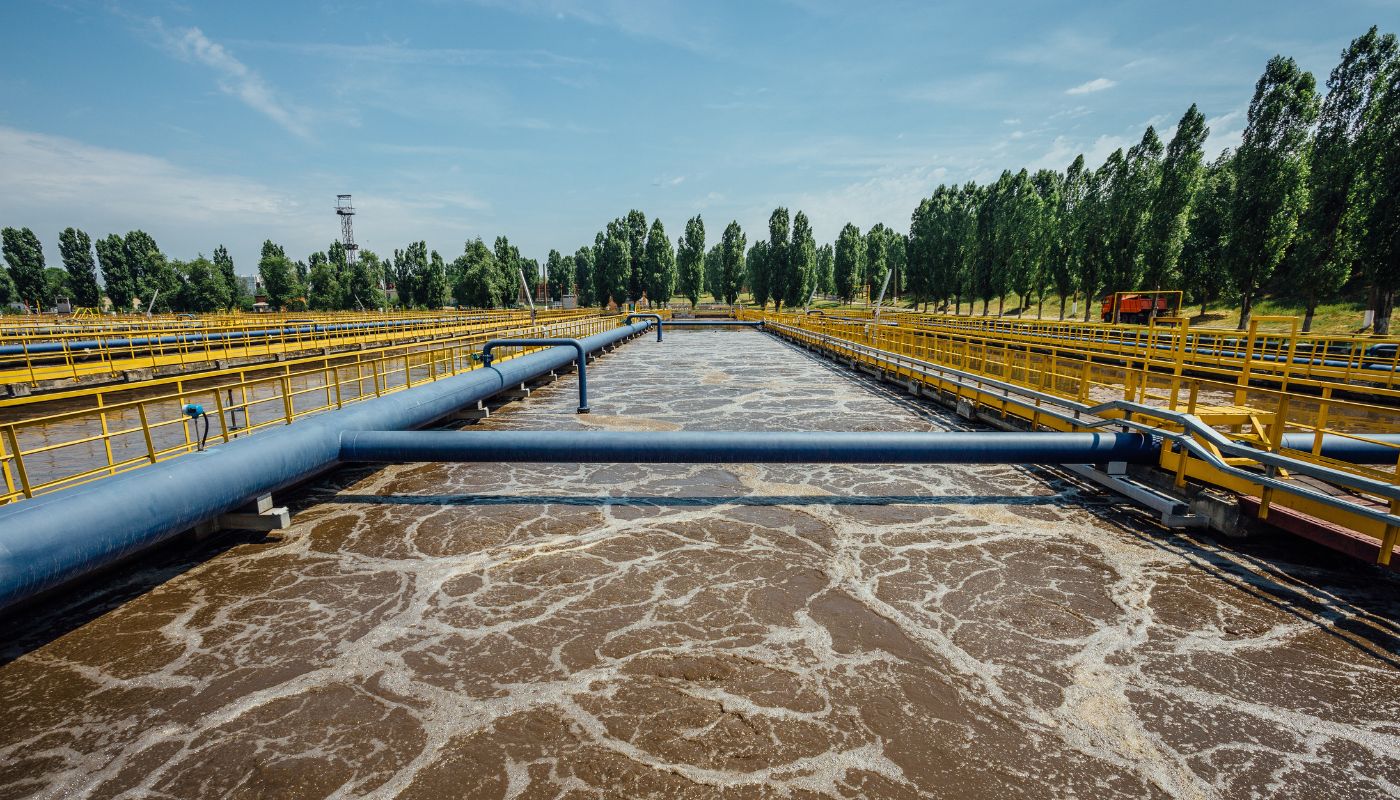 The Role of Microorganisms in Wastewater Treatment