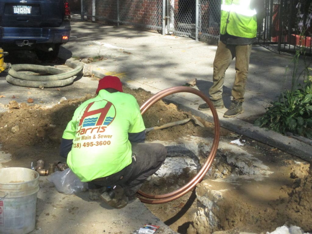 A Prevention Plan After Tree Roots In Sewer Line Removal