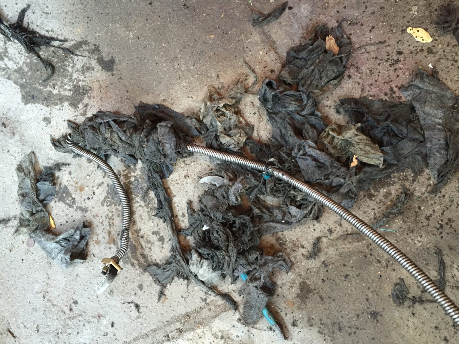 wipes from sewer line backup