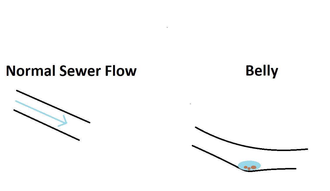 sewer line belly
